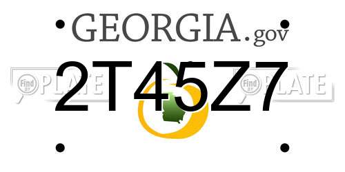 2T45Z7 Georgia License Plate