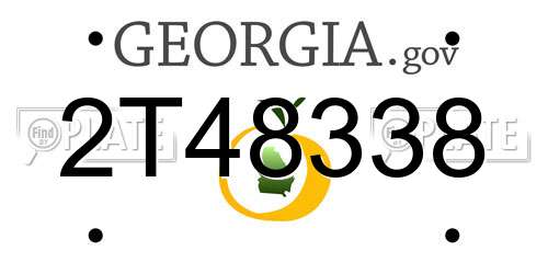 2T48338 Georgia License Plate
