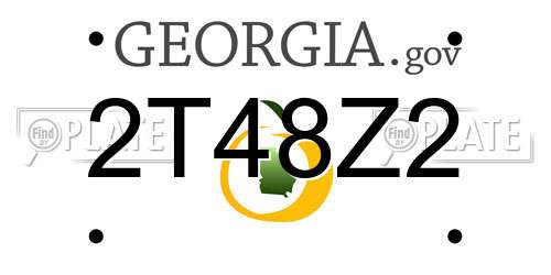 2T48Z2 Georgia License Plate