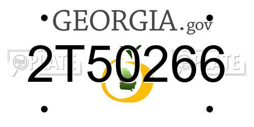 2T50266 Georgia License Plate