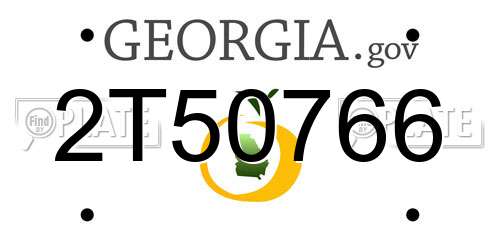 2T50766 Georgia License Plate