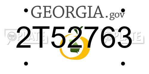 2T52763 Georgia License Plate