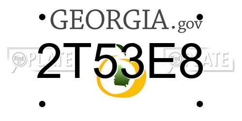 2T53E8 Georgia License Plate