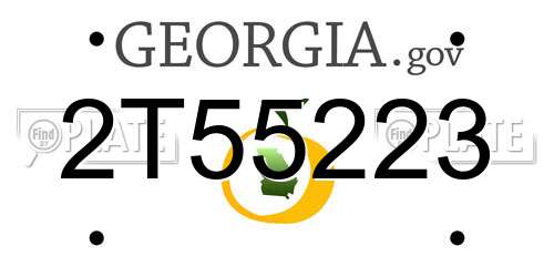 2T55223 Georgia License Plate