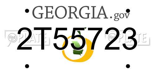 2T55723 Georgia License Plate