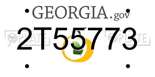 2T55773 Georgia License Plate