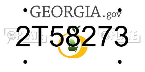2T58273 Georgia License Plate