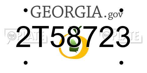 2T58723 Georgia License Plate