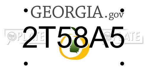2T58A5 Georgia License Plate