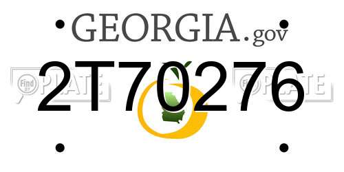 2T70276 Georgia License Plate