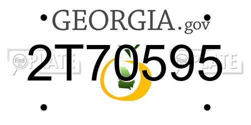 2T70595 Georgia License Plate