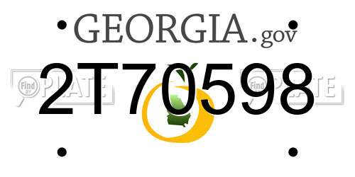 2T70598 Georgia License Plate
