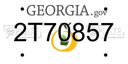 2T70857 Georgia License Plate