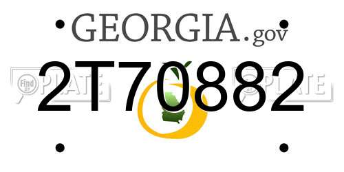 2T70882 Georgia License Plate