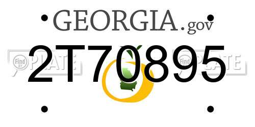 2T70895 Georgia License Plate