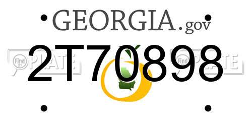 2T70898 Georgia License Plate