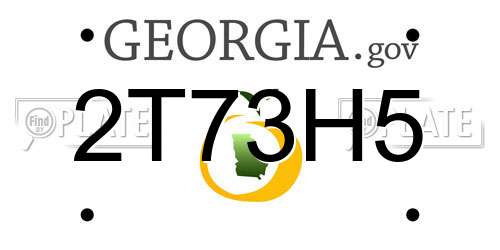 2T73H5 Georgia License Plate
