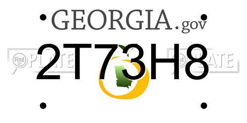 2T73H8 Georgia License Plate
