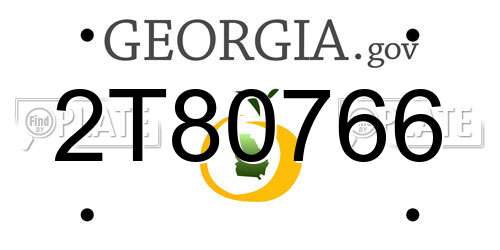 2T80766 Georgia License Plate