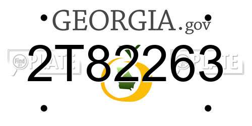 2T82263 Georgia License Plate