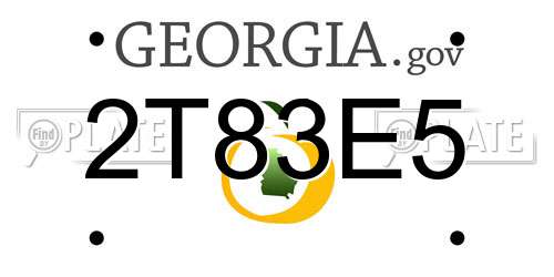 2T83E5 Georgia License Plate