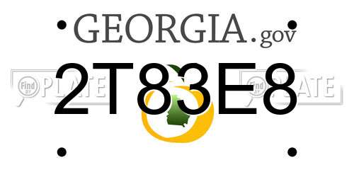 2T83E8 Georgia License Plate