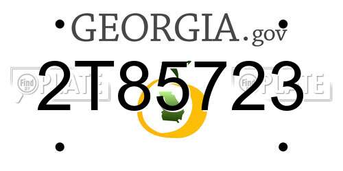 2T85723 Georgia License Plate