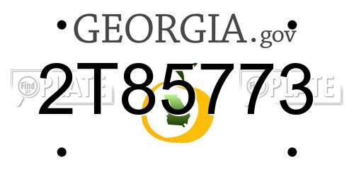 2T85773 Georgia License Plate