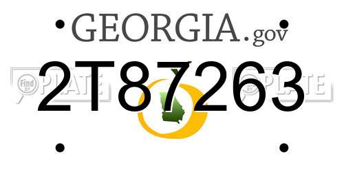 2T87263 Georgia License Plate
