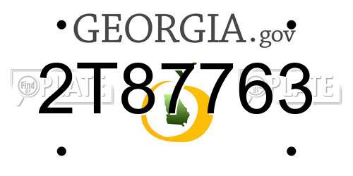 2T87763 Georgia License Plate