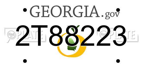 2T88223 Georgia License Plate
