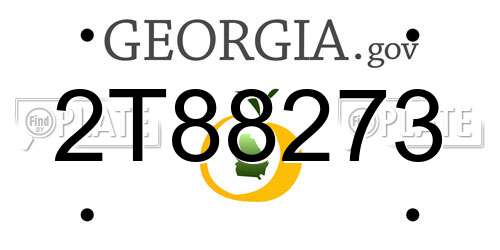 2T88273 Georgia License Plate