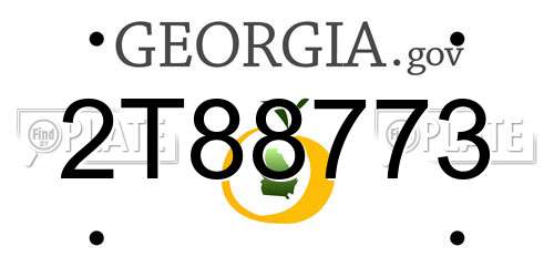 2T88773 Georgia License Plate