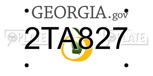 2TA827 Georgia License Plate