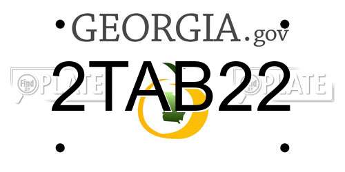 2TAB22 Georgia License Plate