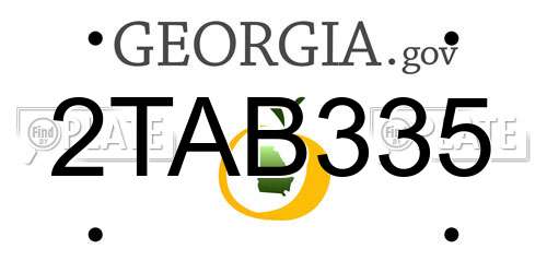 2TAB335 Georgia License Plate