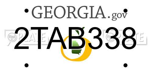 2TAB338 Georgia License Plate