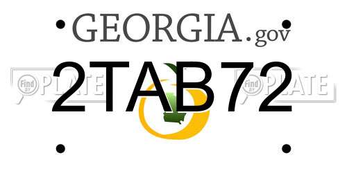 2TAB72 Georgia License Plate