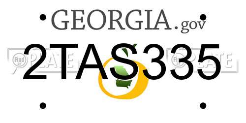 2TAS335 Georgia License Plate