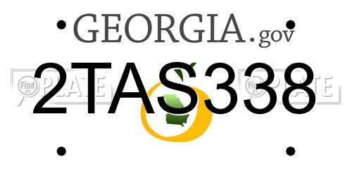 2TAS338 Georgia License Plate