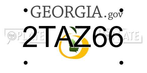 2TAZ66 Georgia License Plate