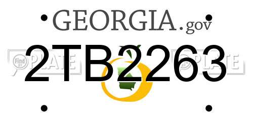 2TB2263 Georgia License Plate