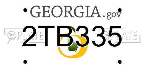 2TB335 Georgia License Plate