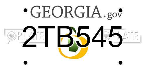 2TB545 Georgia License Plate