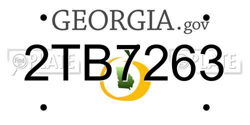2TB7263 Georgia License Plate