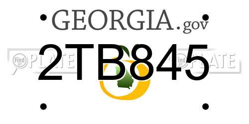 2TB845 Georgia License Plate