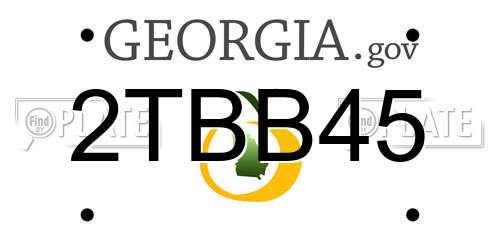 2TBB45 Georgia License Plate
