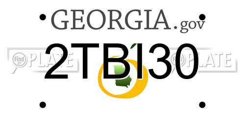 2TBI30 Georgia License Plate