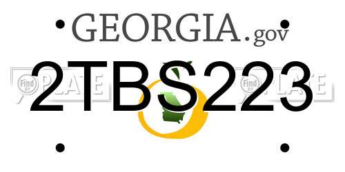 2TBS223 Georgia License Plate