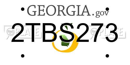 2TBS273 Georgia License Plate